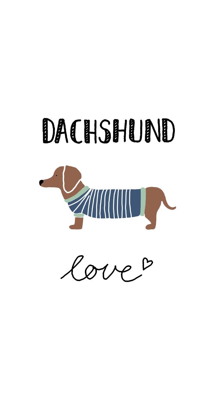 CAMISETAS TEMPORADA 2025