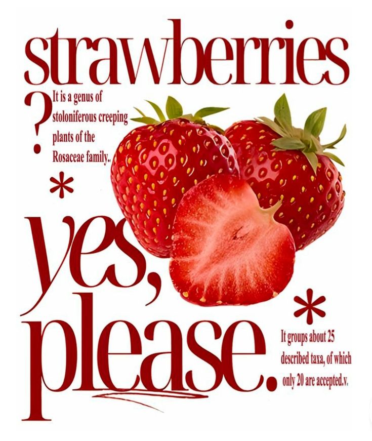 CAMISETAS TEMPORADA 2025