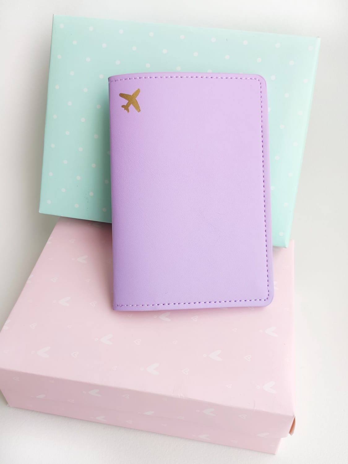 FUNDA PASAPORTE PLANE