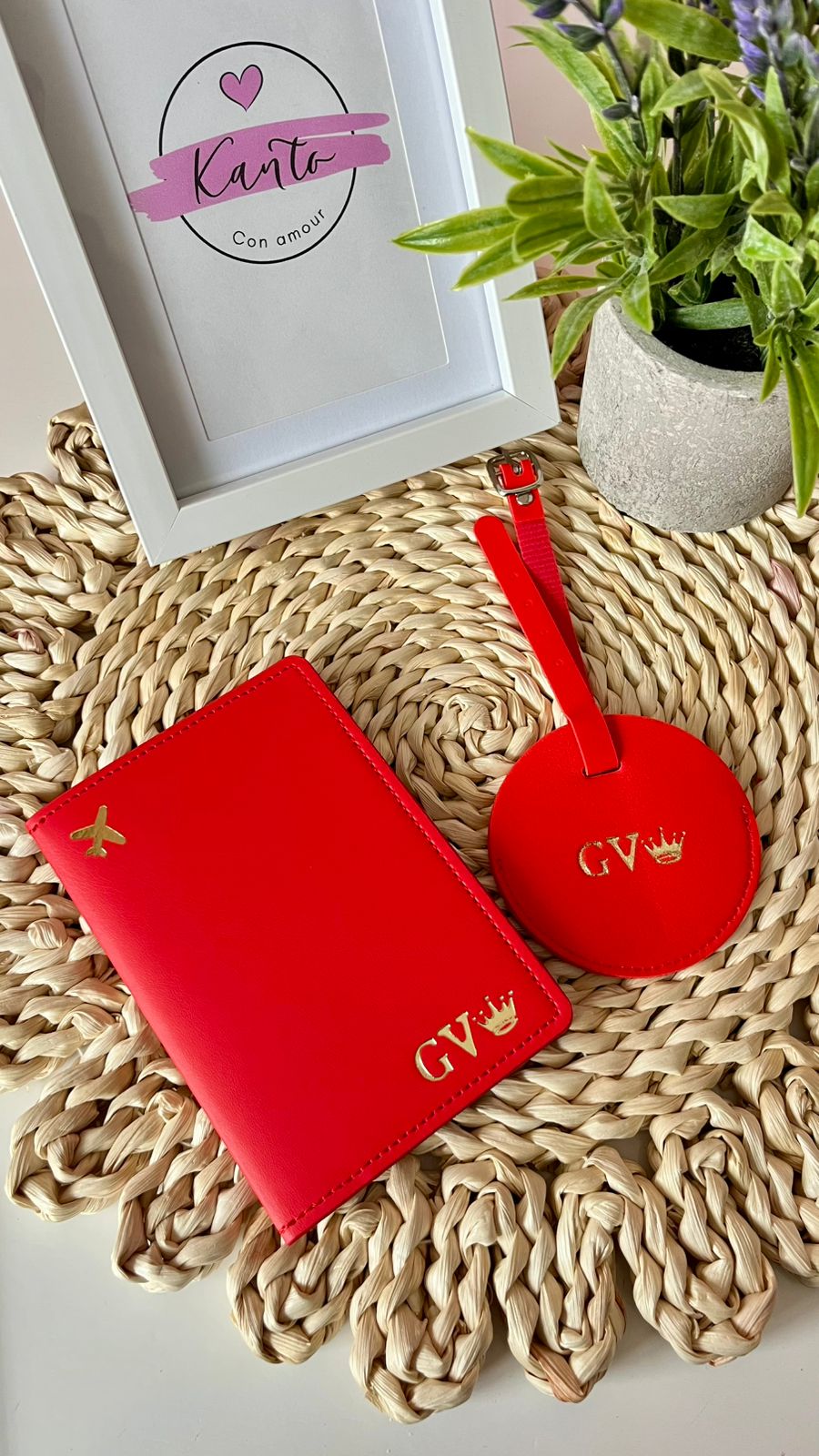 FUNDA PASAPORTE PLANE